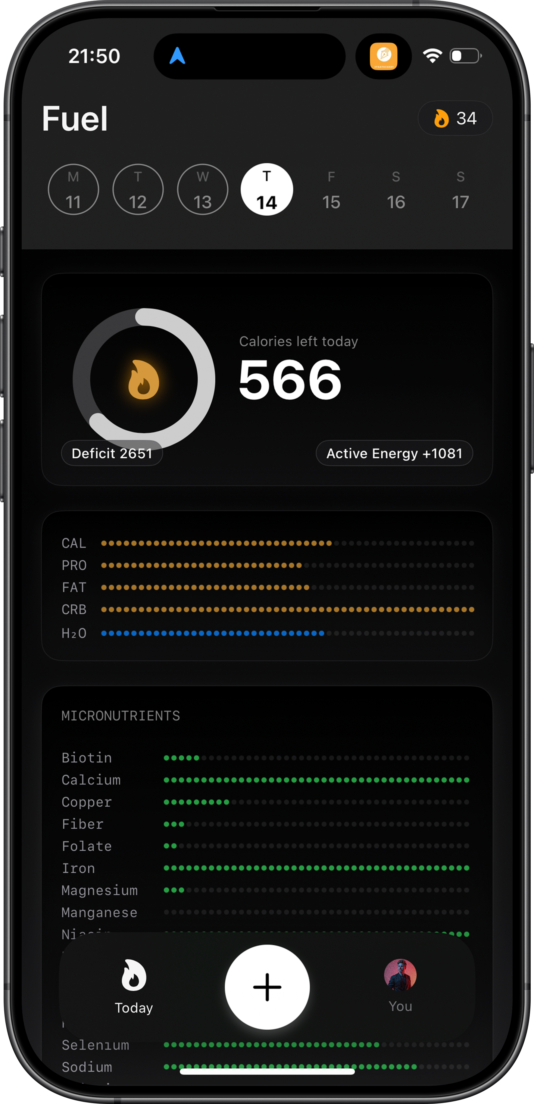 Fuel app macro breakdown on iPhone
