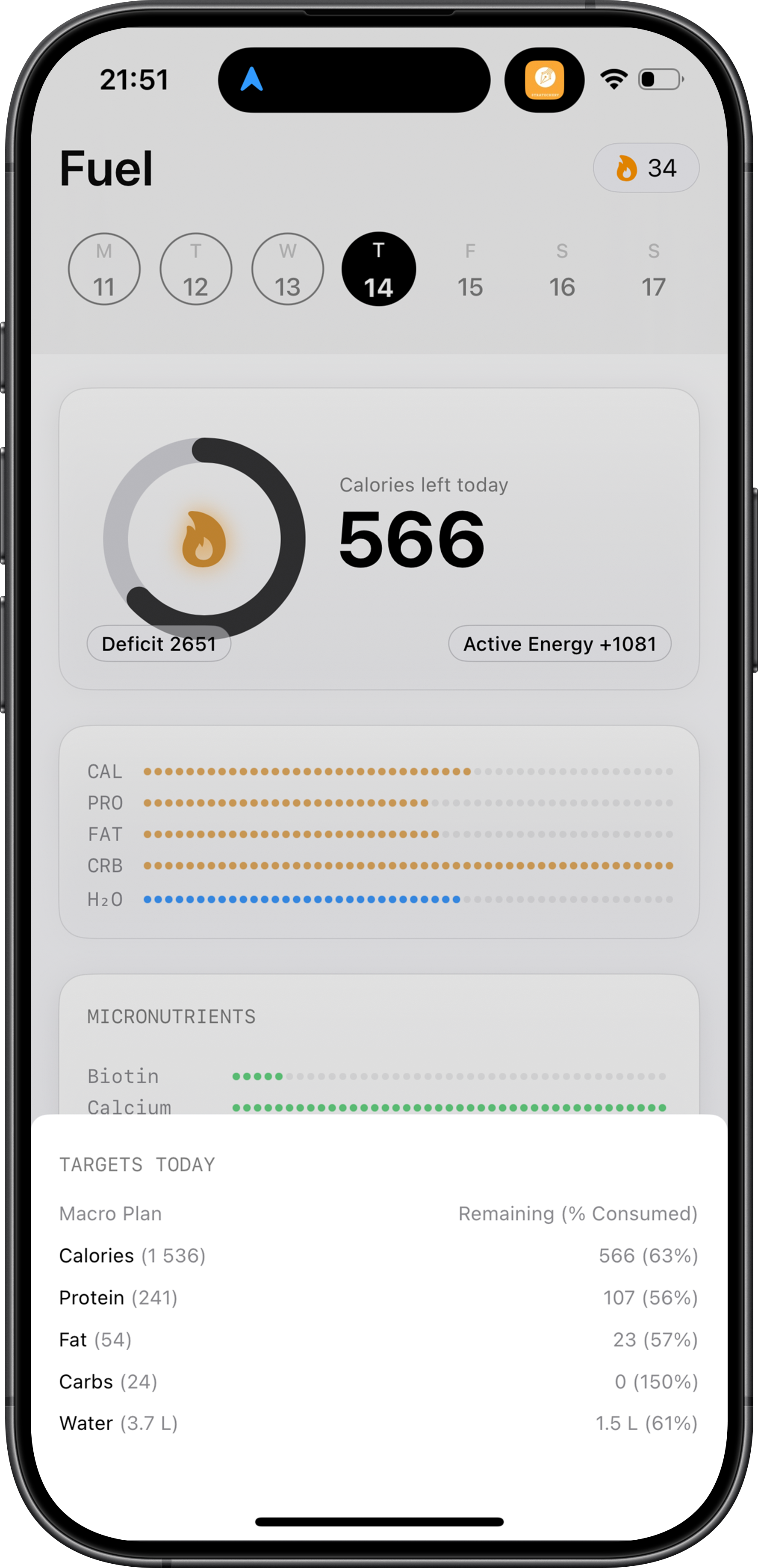 Fuel app settings screen on iPhone